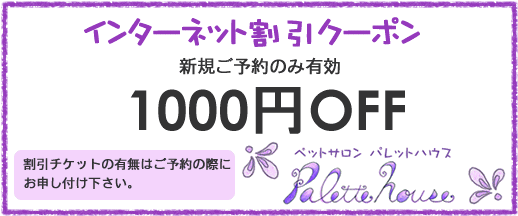 神戸市北区のペットサロン パレットハウス 犬のトリミング シャンプー カット